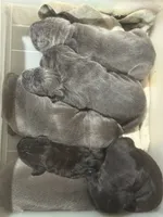 processed/a36bbf95-4e35-4356-80d6-9b350e036bdc/listing/cf9124a8-bfcc-4a58-b30c-d4e6ced18cb2/c0e02ad4-9458-4789-8b97-f4610d5774c7