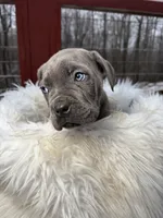 processed/a36bbf95-4e35-4356-80d6-9b350e036bdc/listing/cf9124a8-bfcc-4a58-b30c-d4e6ced18cb2/cb7726df-6ad0-4ec0-913d-c074babf803e