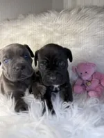 processed/a36bbf95-4e35-4356-80d6-9b350e036bdc/listing/fb0bead4-297c-40d1-8dfb-5901bc9a9676/04764b79-4d3b-4831-8e9e-7d71fd2adf27