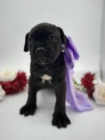 processed/a36bbf95-4e35-4356-80d6-9b350e036bdc/listing/fb0bead4-297c-40d1-8dfb-5901bc9a9676/1eb42381-c639-442c-a194-991f56d0e473