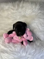 processed/a36bbf95-4e35-4356-80d6-9b350e036bdc/listing/fb0bead4-297c-40d1-8dfb-5901bc9a9676/65100994-638a-4cd5-8eba-54743aee49da