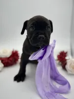 processed/a36bbf95-4e35-4356-80d6-9b350e036bdc/listing/fb0bead4-297c-40d1-8dfb-5901bc9a9676/79c34807-6eb5-4aa7-815d-c8a935699e57