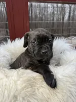 processed/a36bbf95-4e35-4356-80d6-9b350e036bdc/listing/fb0bead4-297c-40d1-8dfb-5901bc9a9676/931dc75f-c476-4762-9fff-20d54333ad27