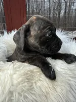 processed/a36bbf95-4e35-4356-80d6-9b350e036bdc/listing/fb0bead4-297c-40d1-8dfb-5901bc9a9676/9cdb1fb8-edf7-4283-912e-f5b1ea615242