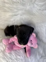 processed/a36bbf95-4e35-4356-80d6-9b350e036bdc/listing/fb0bead4-297c-40d1-8dfb-5901bc9a9676/cbfabd58-d82e-4f3c-9b00-fd9296a54a28