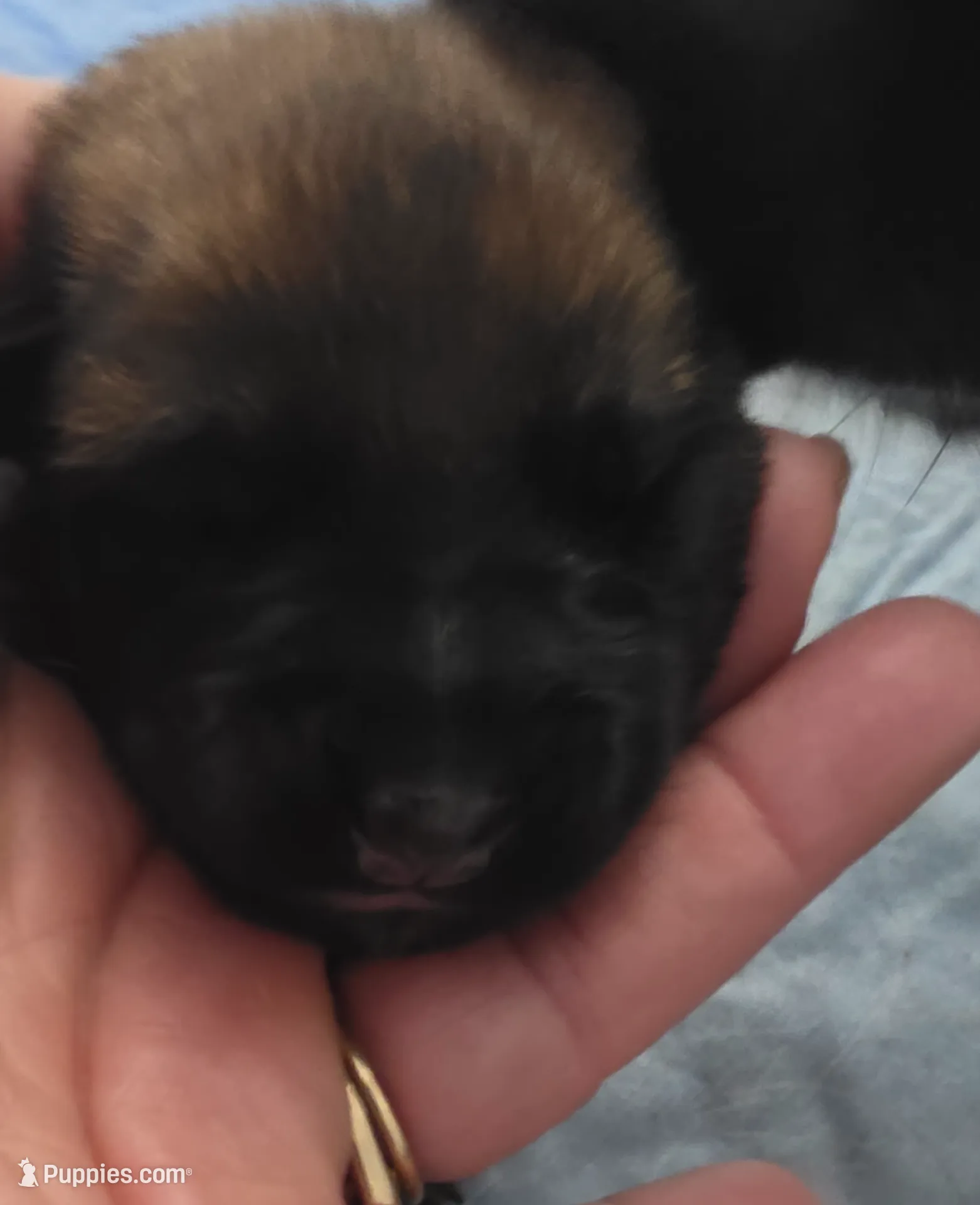 processed/a3790189-1293-4c0b-a589-8fb911d37fbd/listing/5e15c94b-89fb-4661-8f26-ca55bfbf5613/48790b18-ae0a-483c-8e38-2aaaff090085