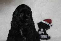 processed/a37a6b70-dc4b-44f6-8ca6-dce813d23209/listing/8466fdc6-3ca7-4826-8c44-176a0c6037df/1a565939-47e2-4835-8fc4-975b068d4590