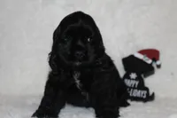 processed/a37a6b70-dc4b-44f6-8ca6-dce813d23209/listing/8466fdc6-3ca7-4826-8c44-176a0c6037df/303c54c8-16a0-4cae-a0bb-796d1c38c1ad