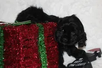 processed/a37a6b70-dc4b-44f6-8ca6-dce813d23209/listing/8466fdc6-3ca7-4826-8c44-176a0c6037df/777faa77-2783-477c-95ca-33dceb8326c9