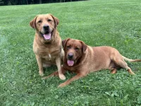 processed/a381e09c-c0bc-47bc-b9cf-1eaf0d2de72a/listing/3a200e12-b729-4970-acc7-e6fd37b7b931/44cd9181-81fc-4904-b7ce-77d30f15455d