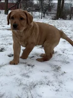 processed/a381e09c-c0bc-47bc-b9cf-1eaf0d2de72a/listing/3a200e12-b729-4970-acc7-e6fd37b7b931/47e46cf1-dc88-4983-ac67-2f28eb1e8170