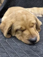 processed/a381e09c-c0bc-47bc-b9cf-1eaf0d2de72a/listing/3a200e12-b729-4970-acc7-e6fd37b7b931/c66133d1-0971-4386-b102-29aa0acd2338