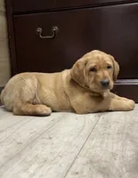 processed/a381e09c-c0bc-47bc-b9cf-1eaf0d2de72a/listing/3a200e12-b729-4970-acc7-e6fd37b7b931/dd99bc6f-2fa8-4701-b8e8-2aab3413c6b5