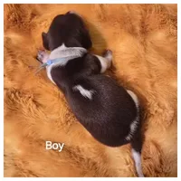 processed/a3895fe5-57db-4089-b8c6-80ae9ca7acad/listing/01ed86a4-f695-4504-b091-37058d5e5f5e/05c9b4aa-cf28-4b99-80df-9e2dc96dbadd