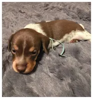 processed/a3895fe5-57db-4089-b8c6-80ae9ca7acad/listing/01ed86a4-f695-4504-b091-37058d5e5f5e/789ae661-4b9e-4962-bcb6-e6a7fcd3b326