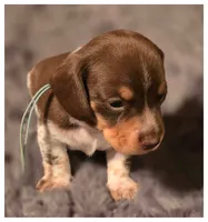 processed/a3895fe5-57db-4089-b8c6-80ae9ca7acad/listing/01ed86a4-f695-4504-b091-37058d5e5f5e/8267687f-e5ca-4ad8-8515-1efaa373cf63