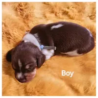 processed/a3895fe5-57db-4089-b8c6-80ae9ca7acad/listing/01ed86a4-f695-4504-b091-37058d5e5f5e/8a71eba8-25d8-4f71-b4b7-e02a5013faa8