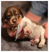 processed/a3895fe5-57db-4089-b8c6-80ae9ca7acad/listing/01ed86a4-f695-4504-b091-37058d5e5f5e/ac6290f8-926a-4fe3-9c22-0029cc49bd93