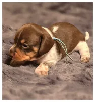 processed/a3895fe5-57db-4089-b8c6-80ae9ca7acad/listing/01ed86a4-f695-4504-b091-37058d5e5f5e/f3eec325-2d00-4a46-80a0-de841051c37f