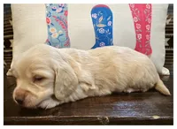 processed/a3895fe5-57db-4089-b8c6-80ae9ca7acad/listing/2c6e3b37-bdf2-43f4-834e-991e4fad4e6a/5f0c9492-5e6a-46a6-9139-7614fdb06bdd