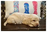 processed/a3895fe5-57db-4089-b8c6-80ae9ca7acad/listing/2c6e3b37-bdf2-43f4-834e-991e4fad4e6a/a4200fd9-0828-4041-b367-2ca7bfe889df