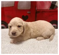 processed/a3895fe5-57db-4089-b8c6-80ae9ca7acad/listing/2c6e3b37-bdf2-43f4-834e-991e4fad4e6a/d7626e7d-d6aa-4d83-a0c1-1287bb7562f5