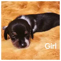 processed/a3895fe5-57db-4089-b8c6-80ae9ca7acad/listing/9776fd37-8aa7-497d-93ef-2f4c4194e942/24ad254a-d97d-4bbc-b04e-15fe3e8965a4