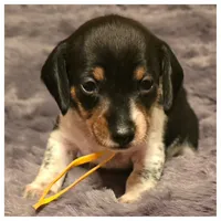 processed/a3895fe5-57db-4089-b8c6-80ae9ca7acad/listing/9776fd37-8aa7-497d-93ef-2f4c4194e942/8da66b8b-9877-4577-af34-c3841c8b29ea