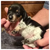 processed/a3895fe5-57db-4089-b8c6-80ae9ca7acad/listing/9776fd37-8aa7-497d-93ef-2f4c4194e942/b524e93f-6aba-474b-babb-481b9584b682