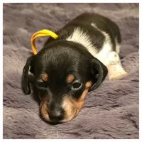 processed/a3895fe5-57db-4089-b8c6-80ae9ca7acad/listing/9776fd37-8aa7-497d-93ef-2f4c4194e942/d2c722a5-673a-4c13-a1b8-e6f9274dfef8