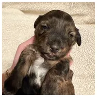 processed/a3895fe5-57db-4089-b8c6-80ae9ca7acad/listing/c051d28c-a0ee-420c-83ed-6f878dda2926/0e22c21e-dba3-4528-8c37-7f4577579793