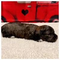 processed/a3895fe5-57db-4089-b8c6-80ae9ca7acad/listing/c051d28c-a0ee-420c-83ed-6f878dda2926/86ec51e4-4c1c-4d0b-8bcd-fe4676884667