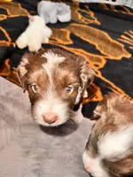 processed/a38bb06c-425a-4303-bd48-359bc6bc9e4a/listing/00afca53-61b6-4b3d-9f85-a4a17ca4bea1/613541ac-d20a-4168-a265-6149385bd020