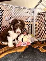 processed/a38bb06c-425a-4303-bd48-359bc6bc9e4a/listing/00afca53-61b6-4b3d-9f85-a4a17ca4bea1/9ca472d8-1f63-4adb-aa45-5d681b8a1191