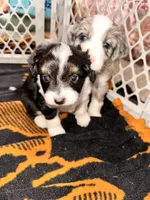 processed/a38bb06c-425a-4303-bd48-359bc6bc9e4a/listing/0c7841a6-b735-40e3-bc39-184bce9a0c6e/bc657daa-f8ae-4695-8d64-b5d8f348cdf1