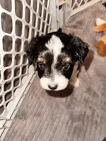 processed/a38bb06c-425a-4303-bd48-359bc6bc9e4a/listing/0c7841a6-b735-40e3-bc39-184bce9a0c6e/d46b54c8-1593-47de-9792-068ebf2d51e6