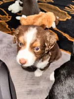 processed/a38bb06c-425a-4303-bd48-359bc6bc9e4a/listing/9c64ac7e-d053-4a4d-ba60-910e6d5a59b2/41f8fde9-f3d1-49b3-8ee2-124939367d2e