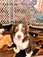 processed/a38bb06c-425a-4303-bd48-359bc6bc9e4a/listing/9c64ac7e-d053-4a4d-ba60-910e6d5a59b2/ce9ebc17-ca1a-47a4-94eb-d689238da9c9