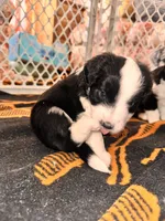 processed/a38bb06c-425a-4303-bd48-359bc6bc9e4a/listing/cb9a29da-ce04-4644-b314-26e9dd7e01e5/3cb7d480-8bf7-4f2d-ac80-42c8bec496ab