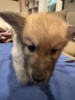 processed/a38ef068-51b7-45c8-82b1-2e6c53ab64a5/listing/99193d98-b85a-4db6-bb59-10971cfa4d44/2f9001fc-1d88-4cd4-9ffc-71353bfbad8c