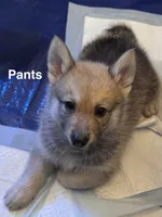 processed/a38ef068-51b7-45c8-82b1-2e6c53ab64a5/listing/99193d98-b85a-4db6-bb59-10971cfa4d44/6f68a805-6a6e-48ed-9926-38f5d29c73eb