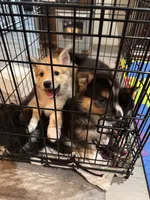 processed/a38ef068-51b7-45c8-82b1-2e6c53ab64a5/listing/c3ecdabd-6410-497c-9aed-353d7a8f314b/2acfe8b8-225d-4b61-b766-5f277f836f51