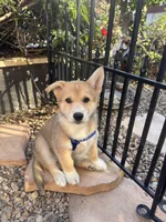 processed/a38ef068-51b7-45c8-82b1-2e6c53ab64a5/listing/c3ecdabd-6410-497c-9aed-353d7a8f314b/50dc1746-6839-4840-a7a6-45c889bd9130