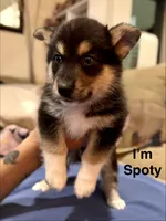 processed/a38ef068-51b7-45c8-82b1-2e6c53ab64a5/listing/e4bd0f5b-c161-4412-8e6b-3b2a99ac3378/4f54729f-9678-494d-b9a8-ab2b5abc0c42