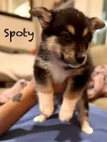 processed/a38ef068-51b7-45c8-82b1-2e6c53ab64a5/listing/e4bd0f5b-c161-4412-8e6b-3b2a99ac3378/501f3e5d-7a16-487e-8218-94e19cdf1138