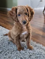 processed/a393df44-b837-487a-8c0a-1df4d77247e6/listing/1a0989b6-2414-443b-9c09-1728713e3a8e/800847f2-18b2-4b40-9c5f-f3d8dfecc93a