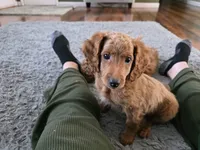 processed/a393df44-b837-487a-8c0a-1df4d77247e6/listing/1a0989b6-2414-443b-9c09-1728713e3a8e/c92615bb-9a47-4cc9-86eb-3fd25acb3909