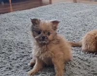 processed/a393df44-b837-487a-8c0a-1df4d77247e6/listing/5d315ce5-1bc8-492b-a6df-dba1342c7b5f/0d38ffe8-fb93-4e85-8f93-ad387b5042a3