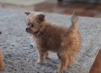 processed/a393df44-b837-487a-8c0a-1df4d77247e6/listing/5d315ce5-1bc8-492b-a6df-dba1342c7b5f/1909ab89-1fc6-41b5-ac19-7a4a6b8ec53e