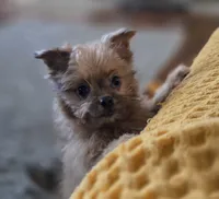 processed/a393df44-b837-487a-8c0a-1df4d77247e6/listing/5d315ce5-1bc8-492b-a6df-dba1342c7b5f/6783b005-5c2b-447f-b97d-5cbffba5ae86